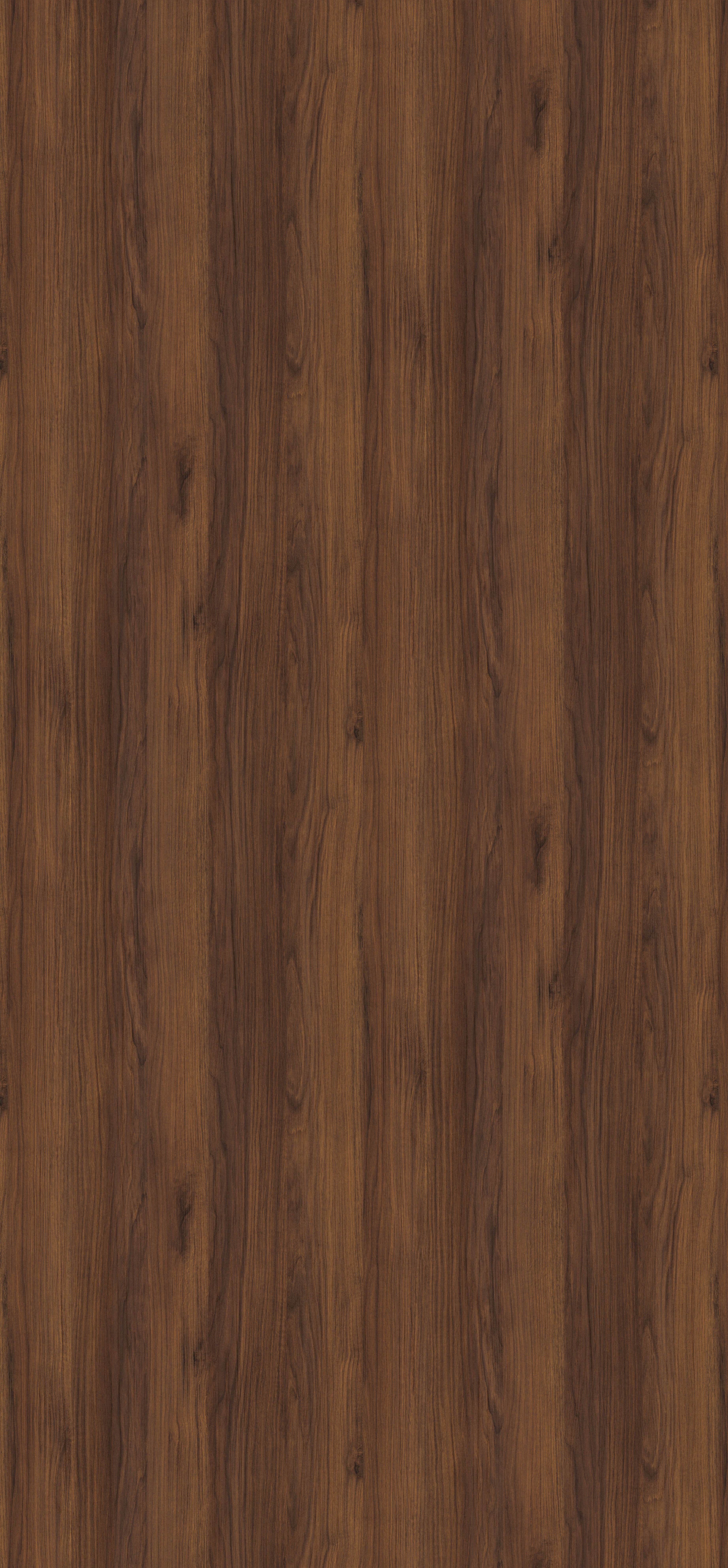 Brown Warmia Walnut H1307 ST19