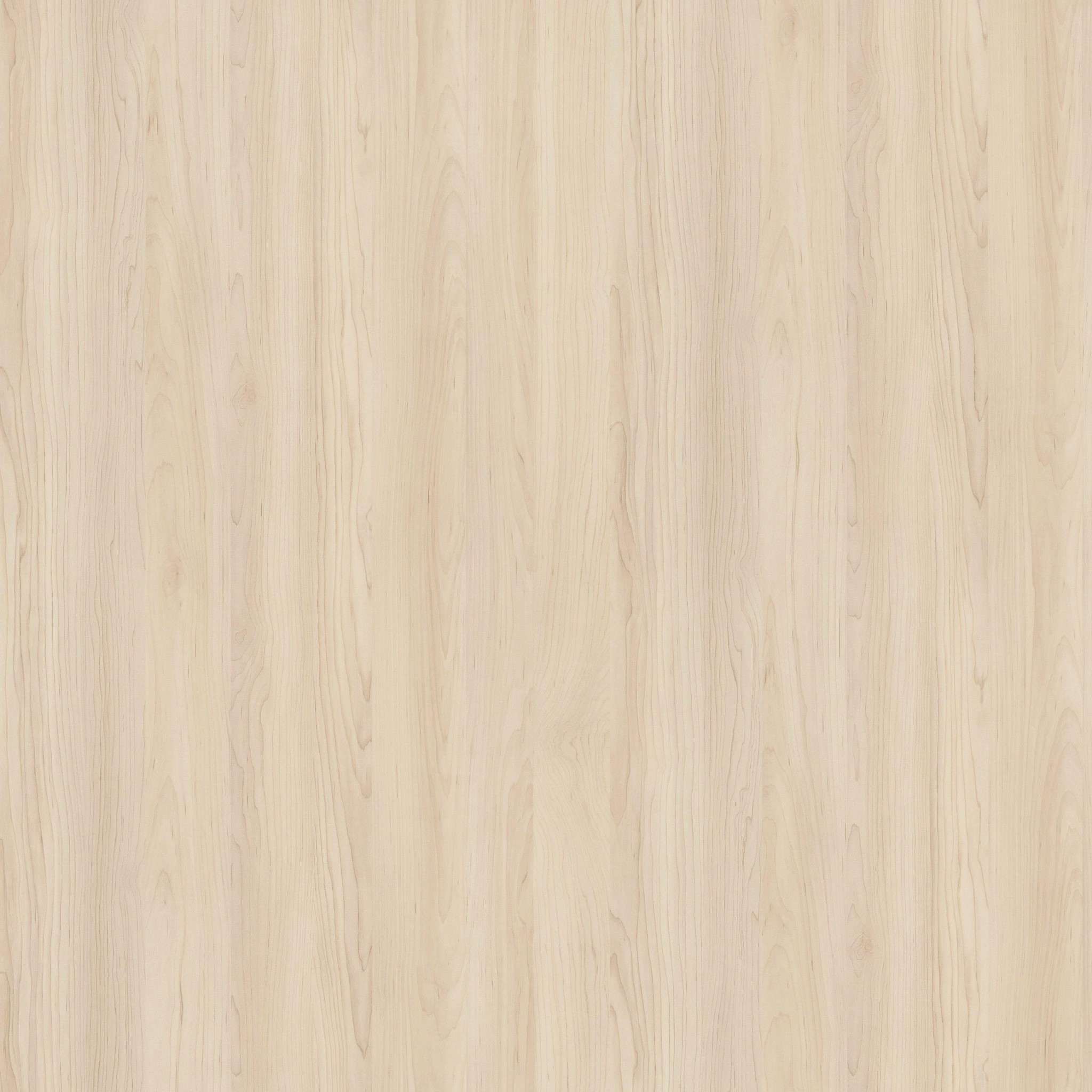 Champagne Hard Maple H3860 ST9