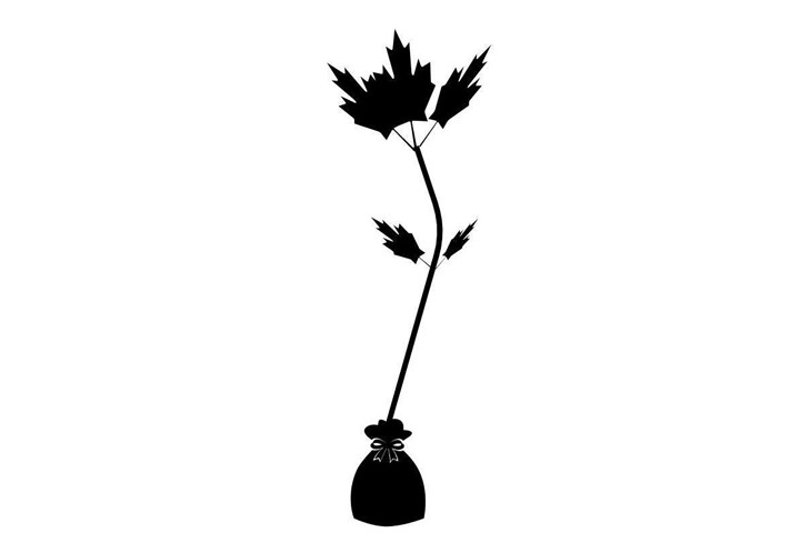 James Latham strengthen position in Northern Ireland