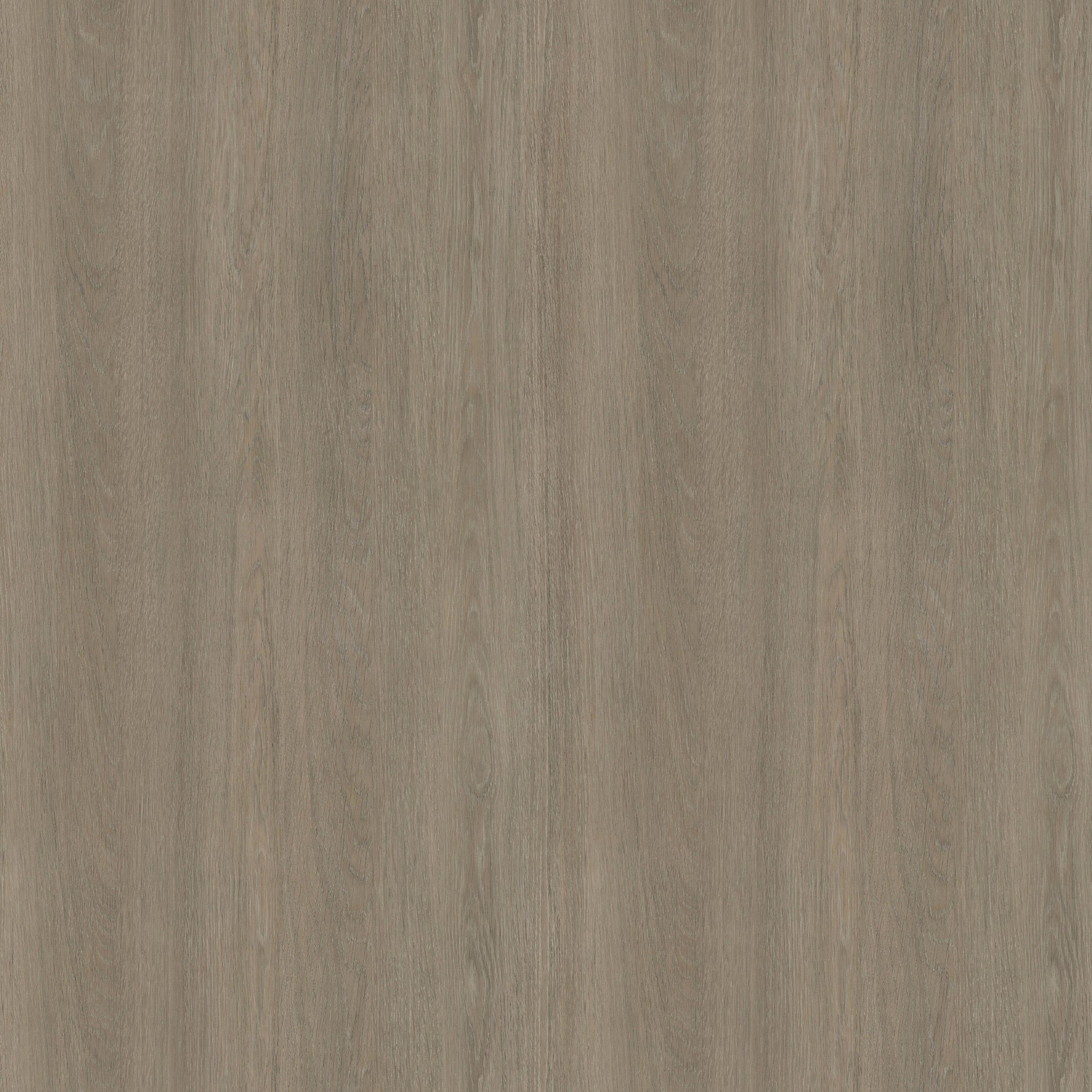 Beige Grey Lorenzo Oak H3146 ST19