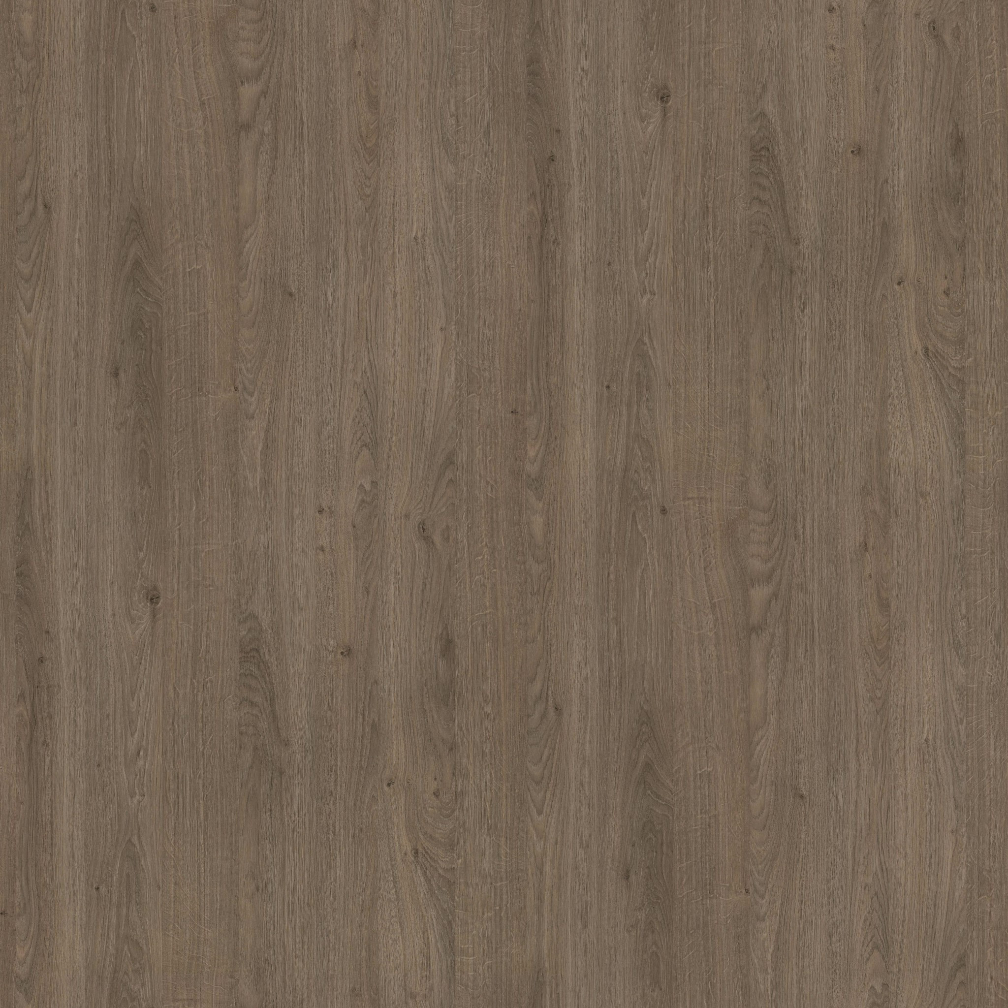 Truffle Brown Denver Oak H1399 ST10