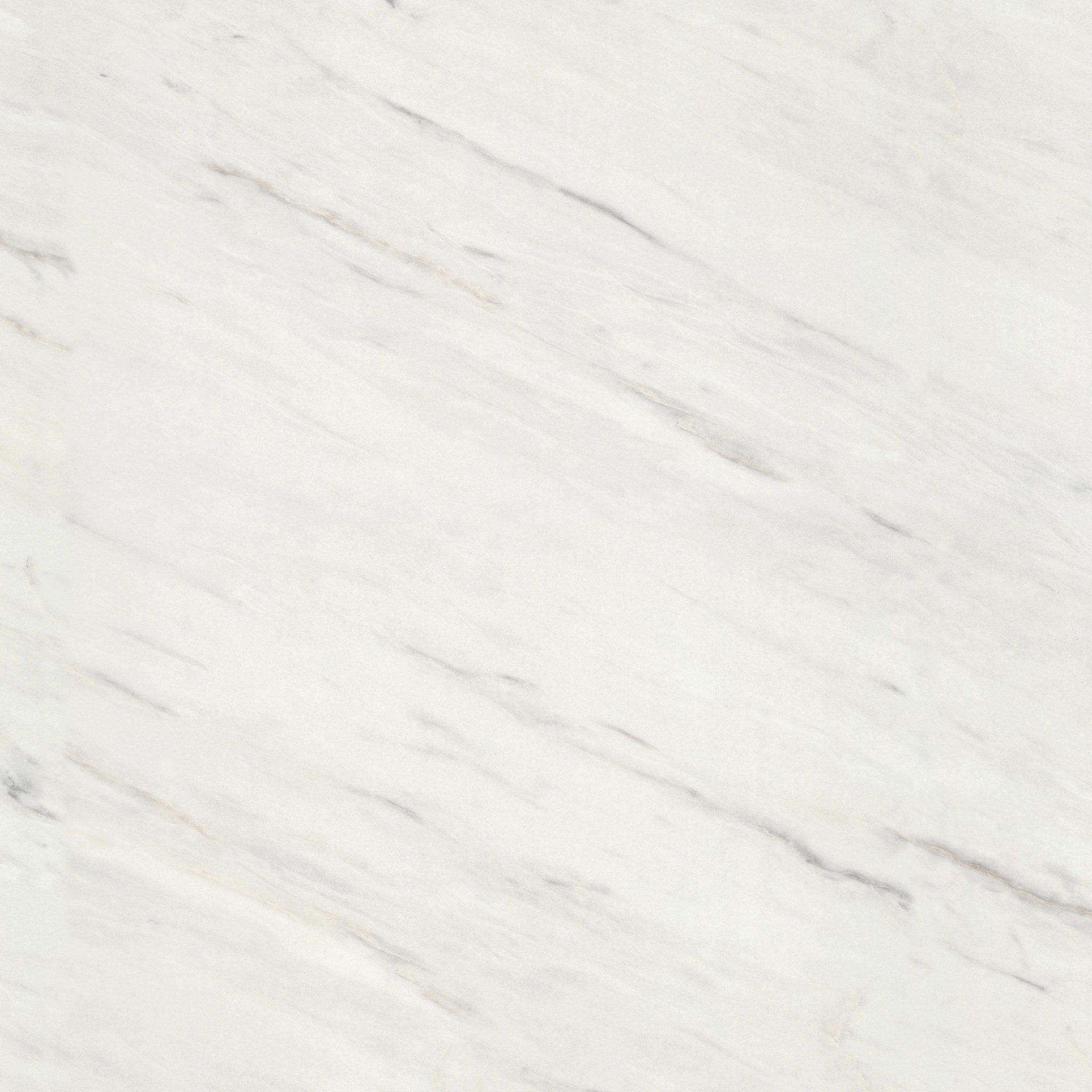 White Levanto Marble F812 ST9