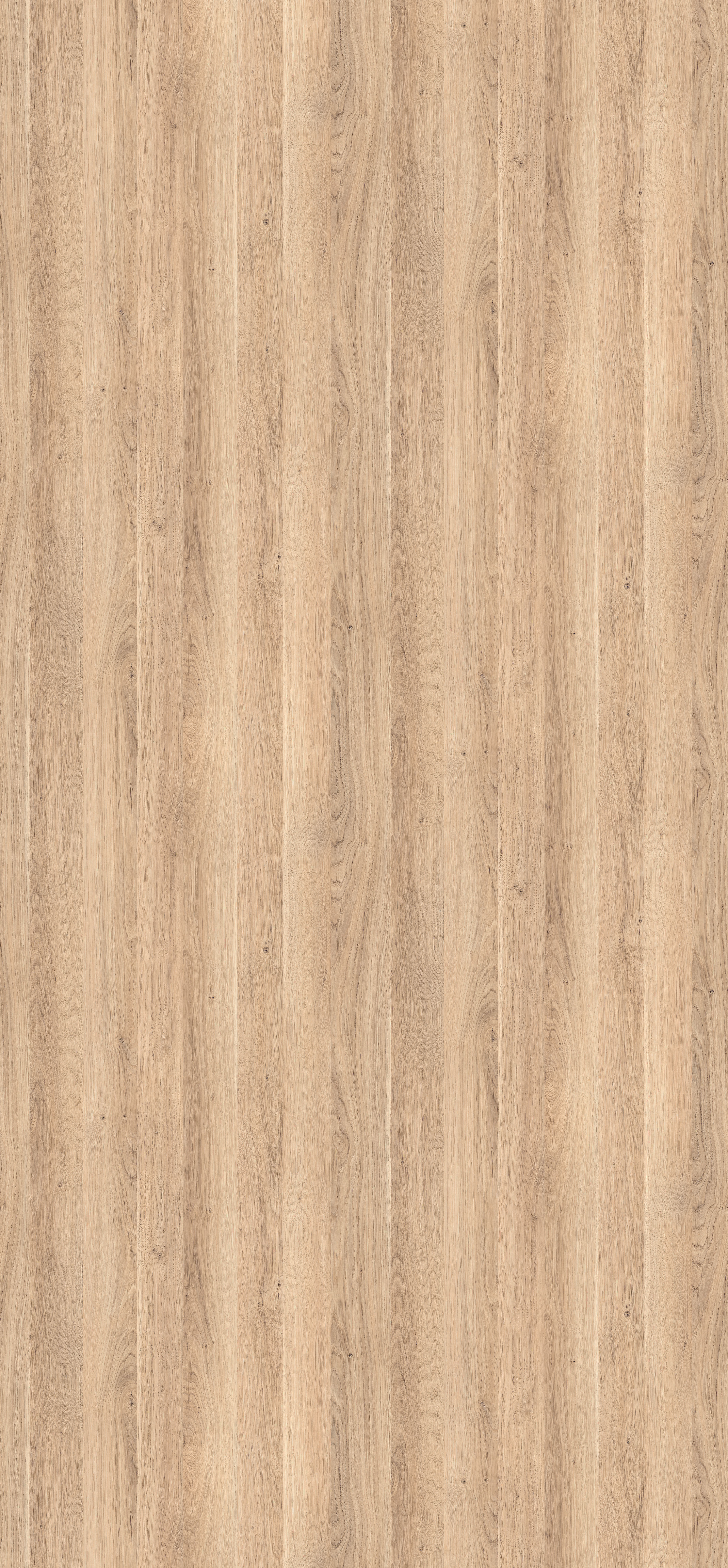 Bleached Cuneo Oak H3311 ST28