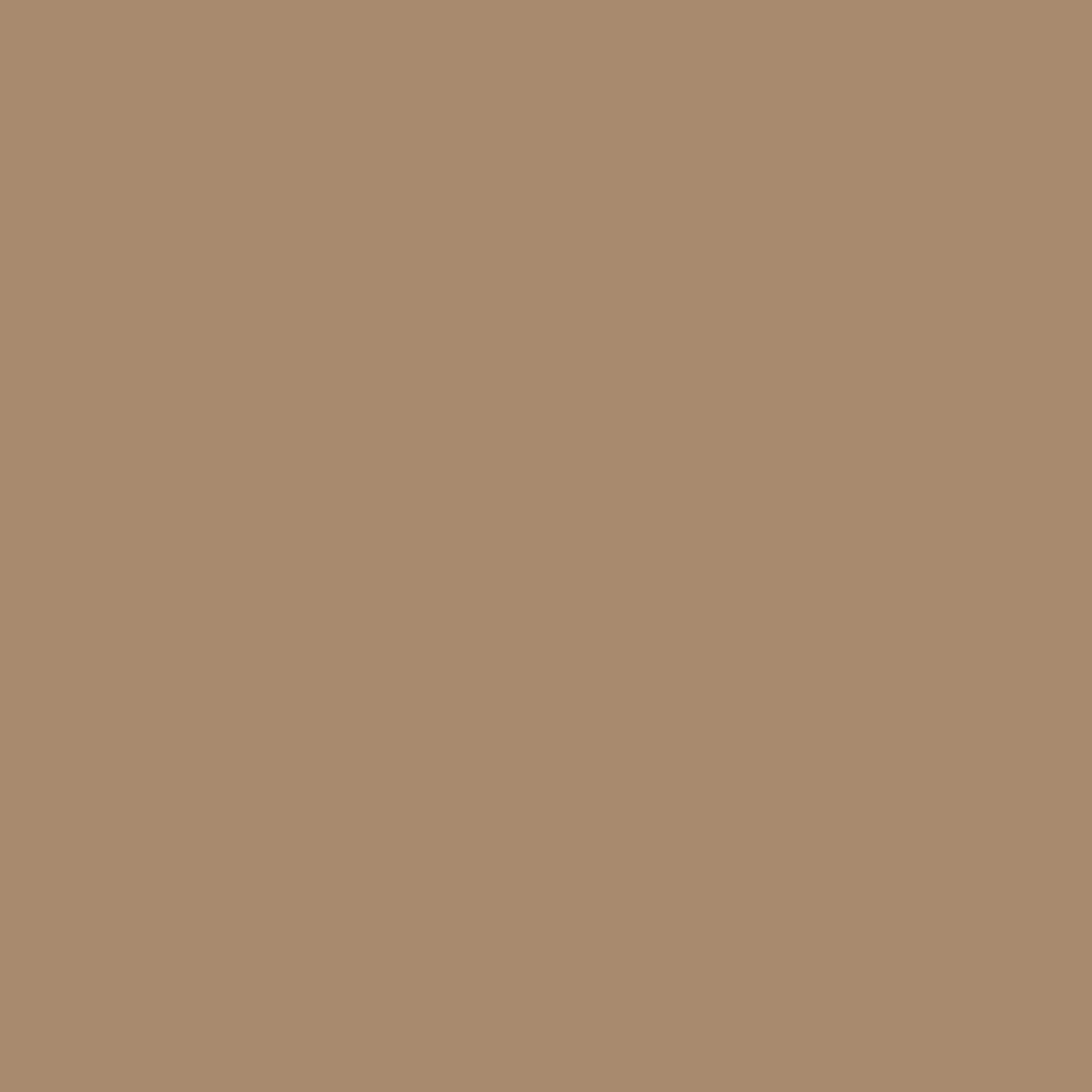 Caramel Beige U250 PM