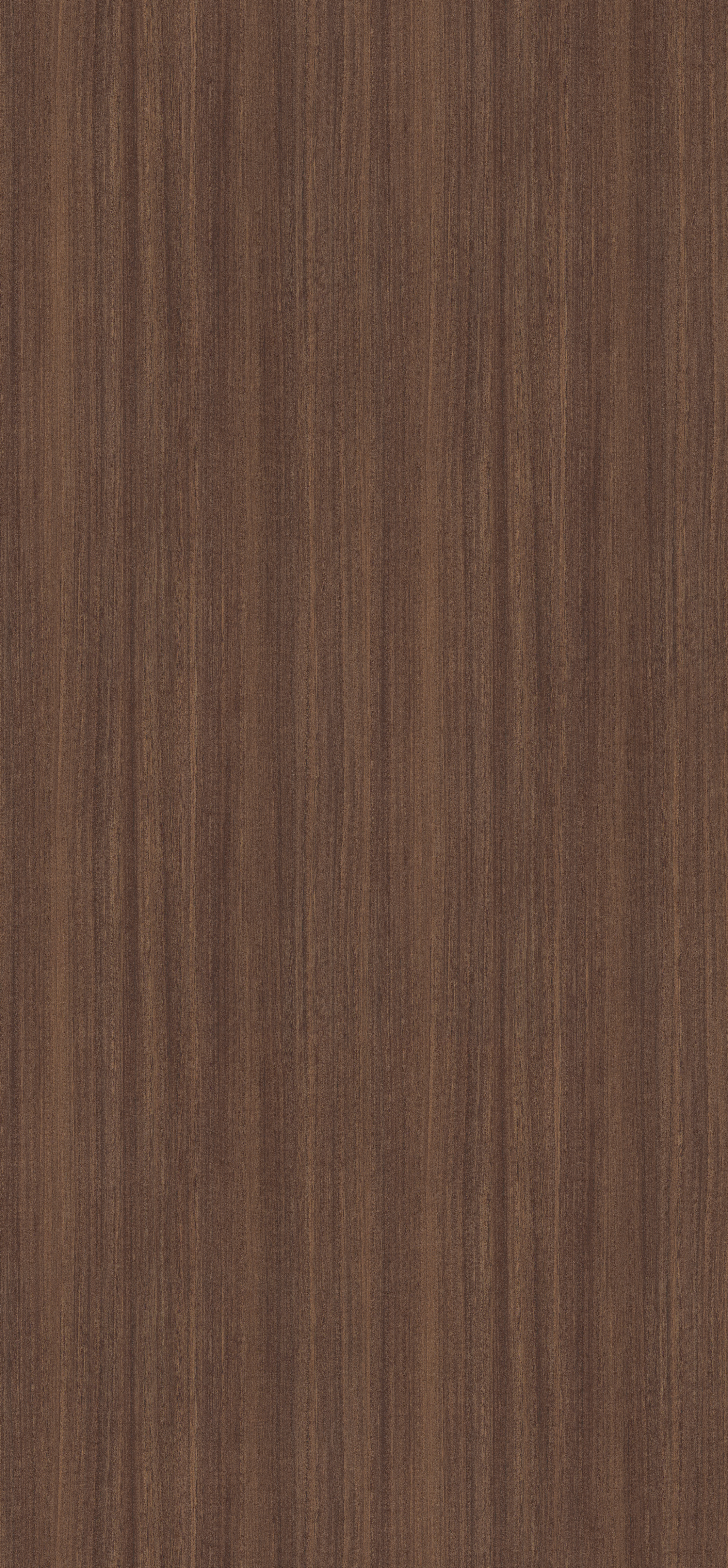 Natural Eucalyptus H3041 TM12