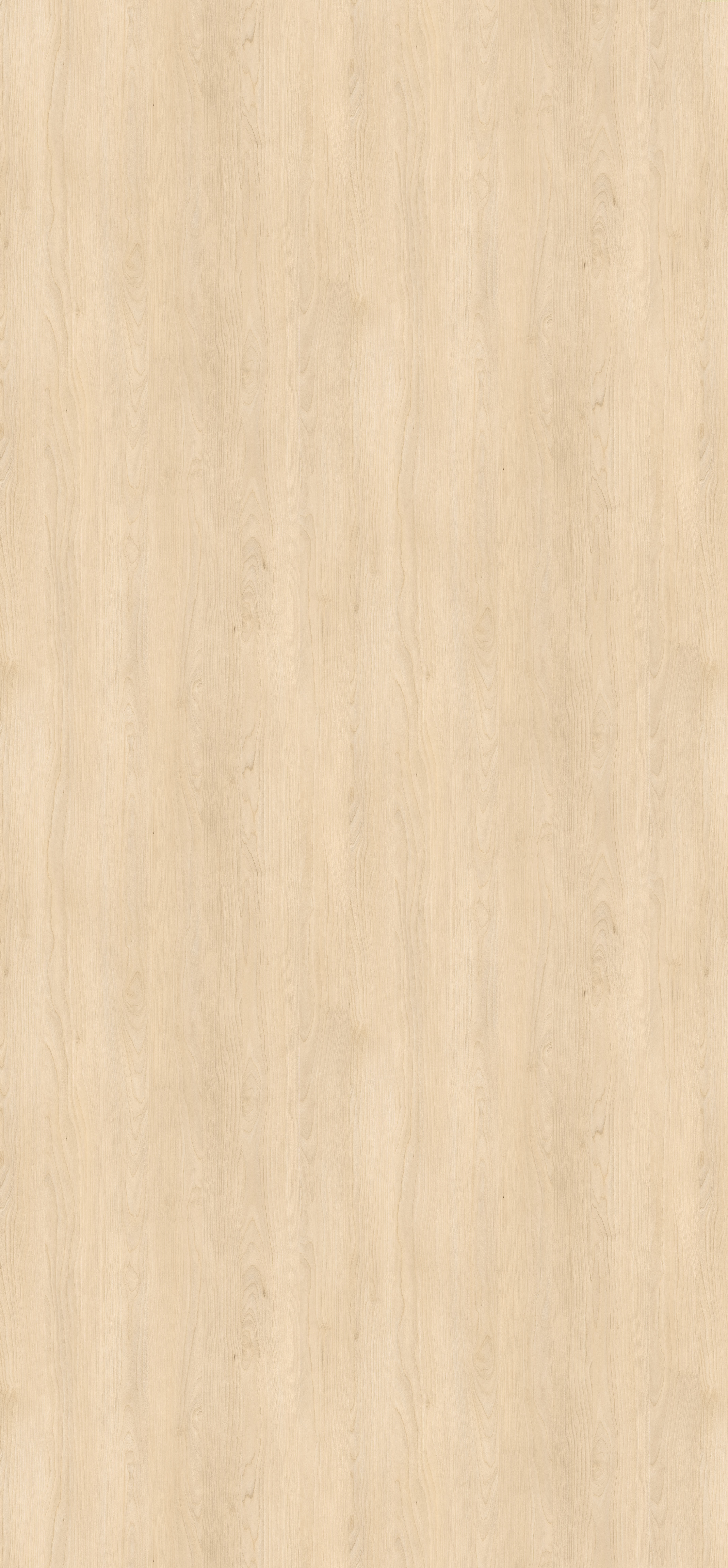 Sand Birch H1732 ST9