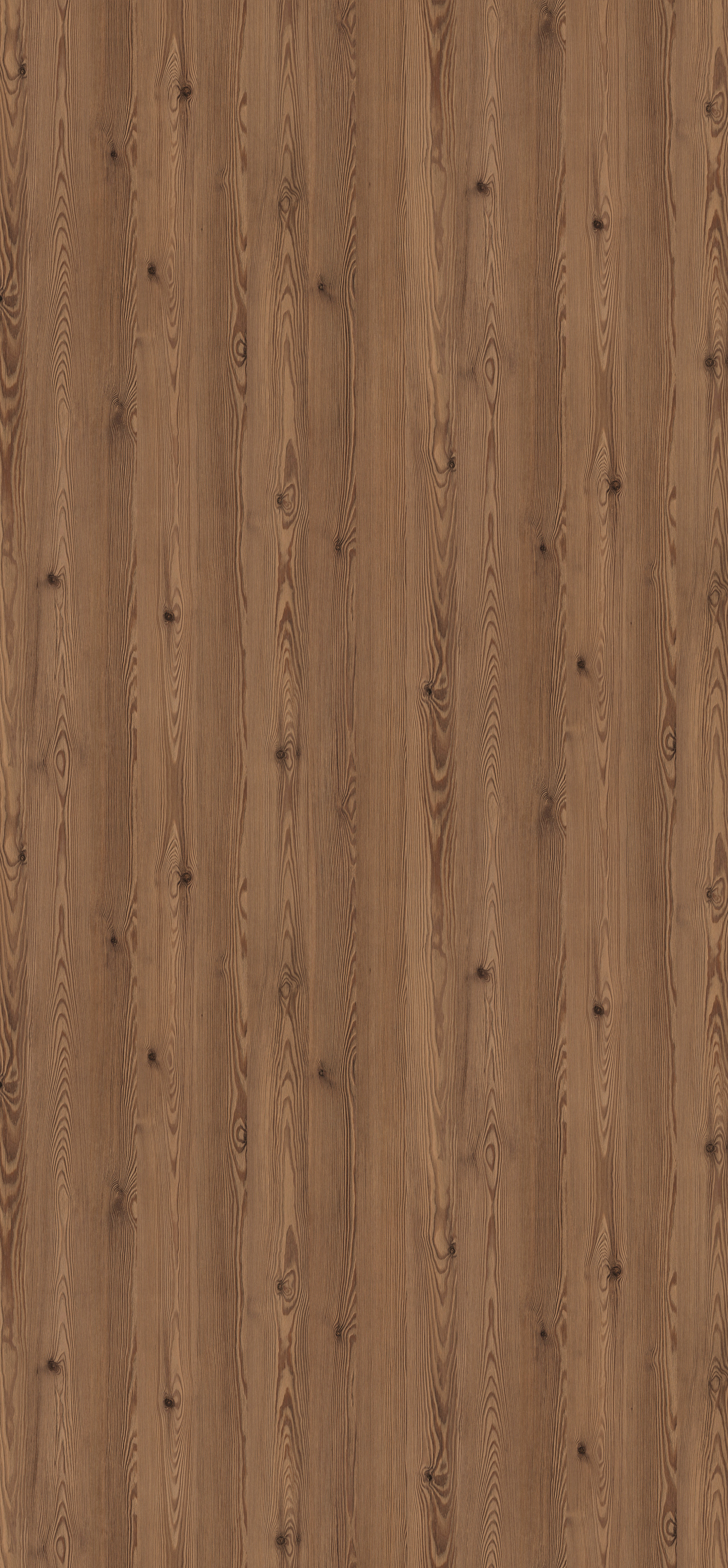 Thermo Brown Mountain Larch H3408 ST38