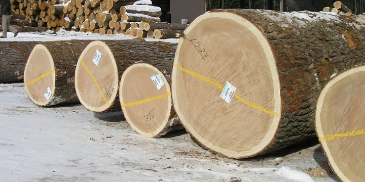 Lathams moves to address “lack of carbon understanding” in industry